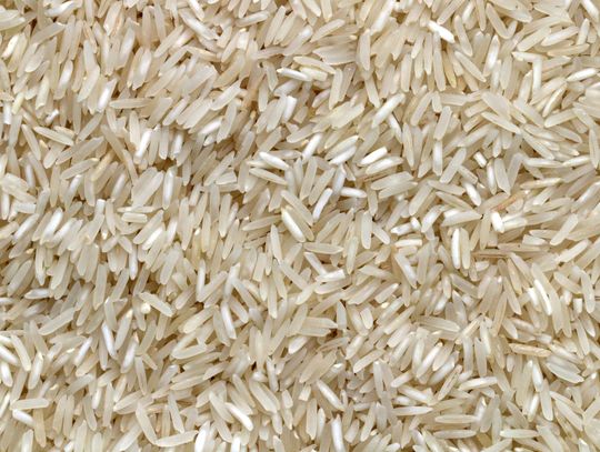 U.S. rice market update: Expect the unexpected