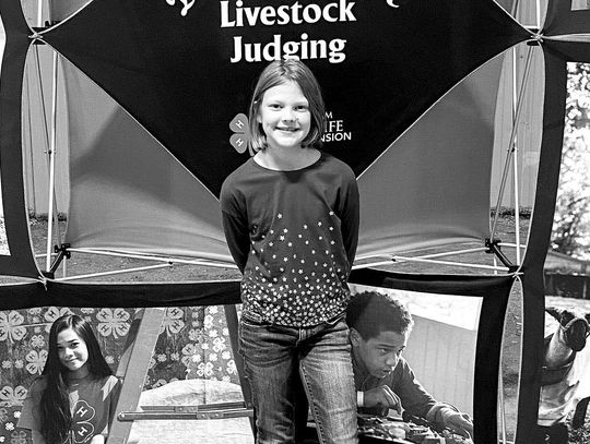 Weid competes at District 11 Livestock Judging Contest