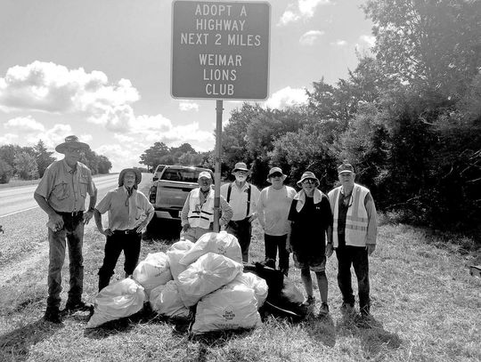 WEIMAR CLEANUP
