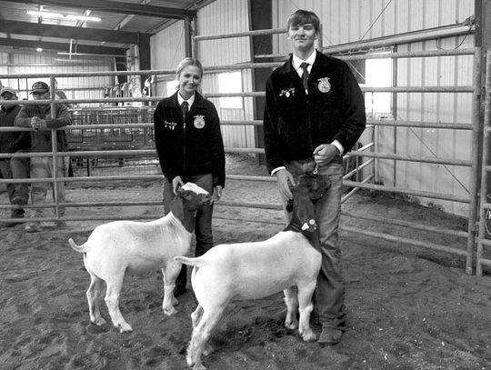 WEIMAR FFA HOSTS LIVESTOCK SHOW