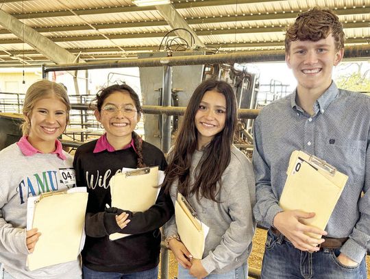 Weimar FFA takes on area CDEs