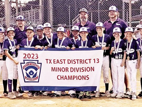 Weimar Little League competes well in sectional tournament