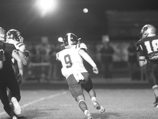 WEIMAR WILDCATS