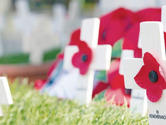 What families can do to honor fallen veterans