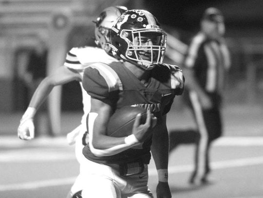 Wildcat named to the Academic All-State team