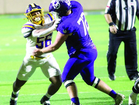 Wildcats eliminated in Area Championship