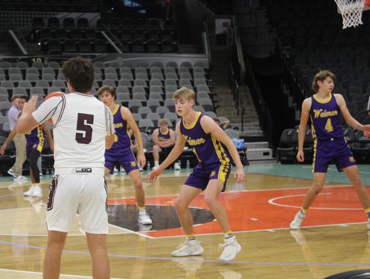 Wildcats fall to Fayetteville