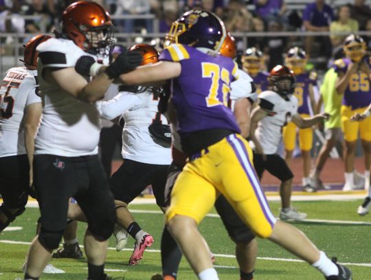 Wildcats shut out Yeguas, 48-0