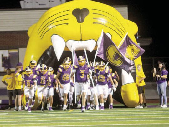 Wildcats shutout Panthers for Homecoming