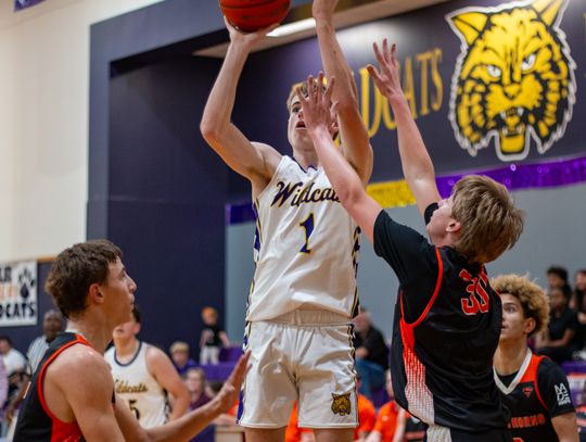 Wildcats spilt last two games