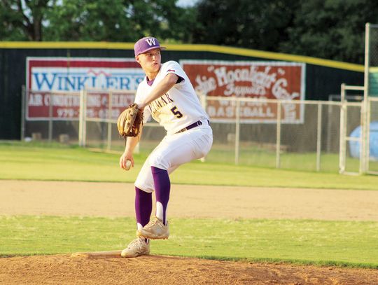 Wildcats steal home and Bi-District Championship