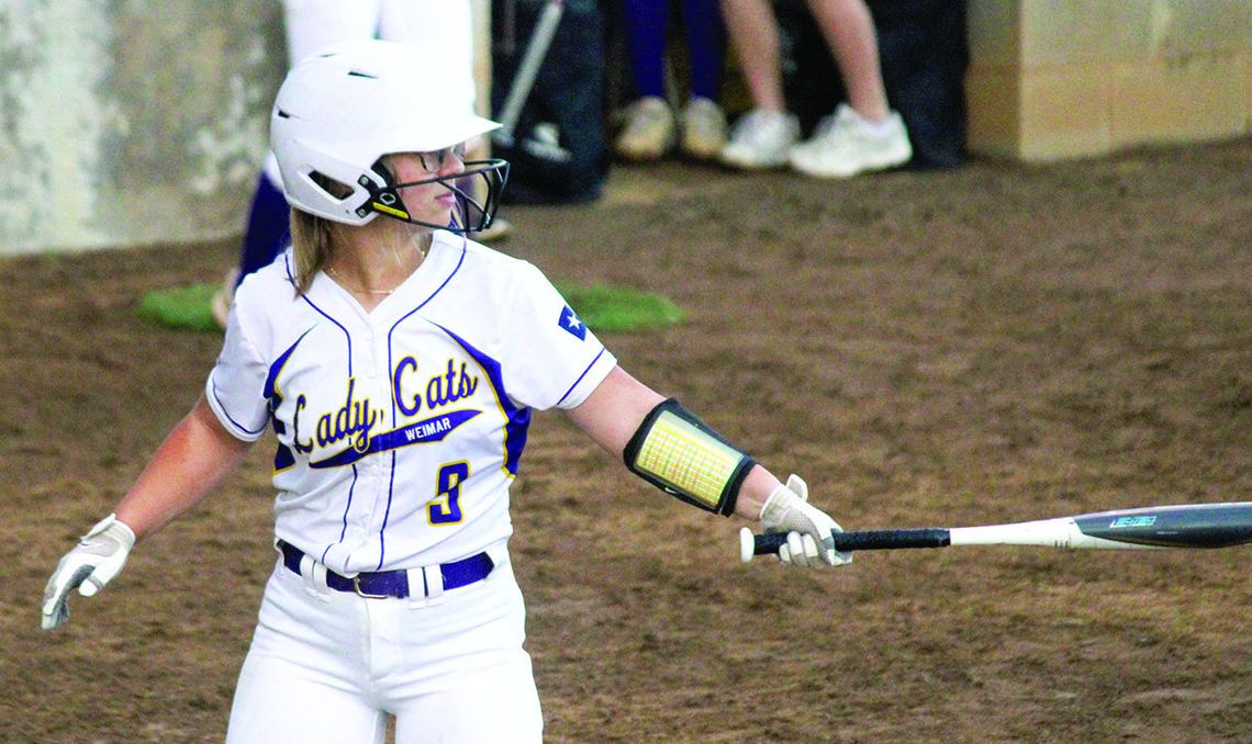 15 Ladycats selected to Academic All-District team