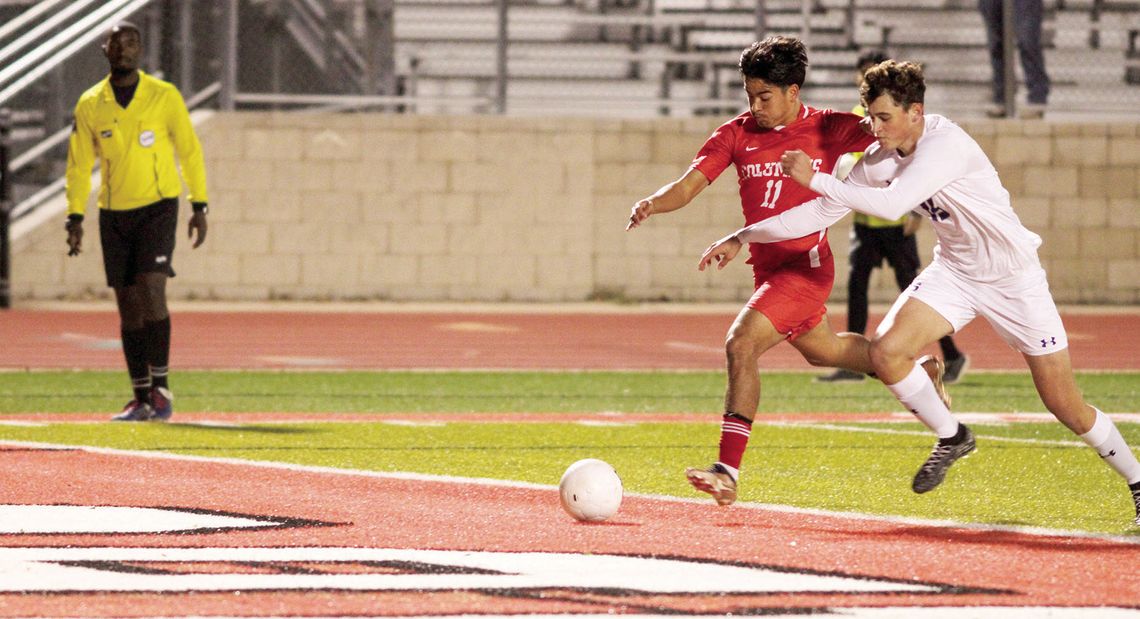 Bay City grounds soaring Cardinals