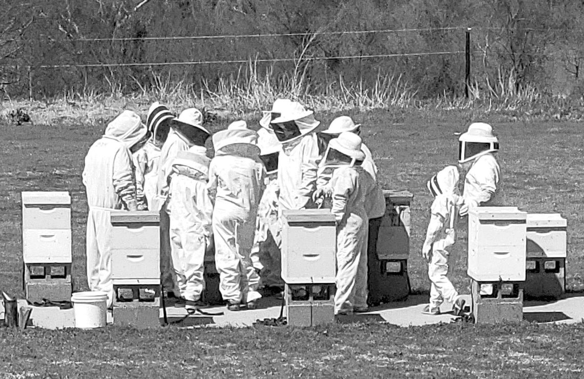 Beekeeping: An educational family experience