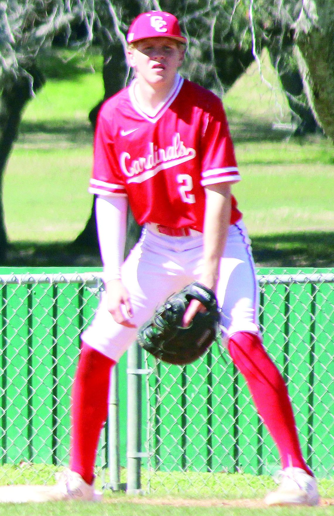 Cards kennel the Bulldogs