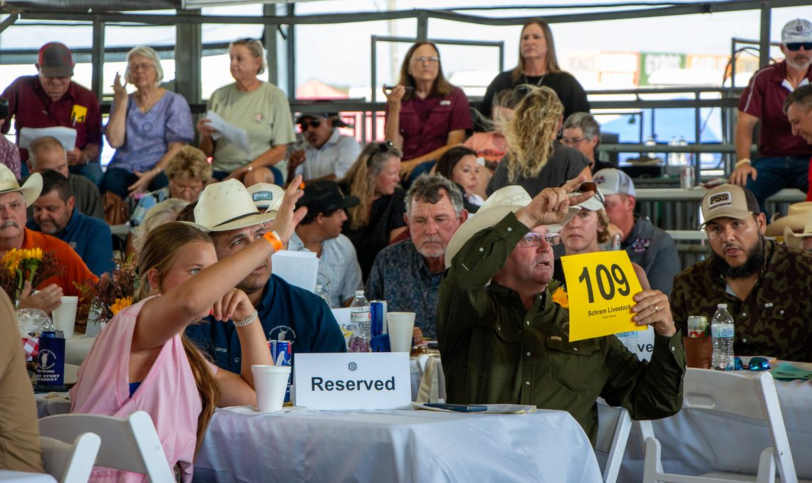 Champions and Livestock Show and Auction Results