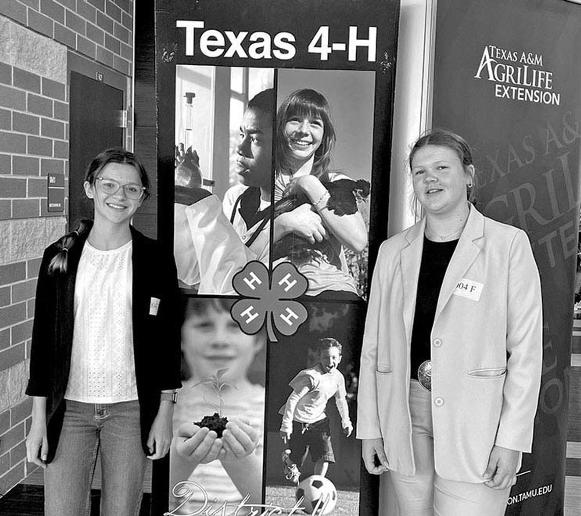 COLUMBUS 4-H MEMBERS SHINE AT CONTESTS