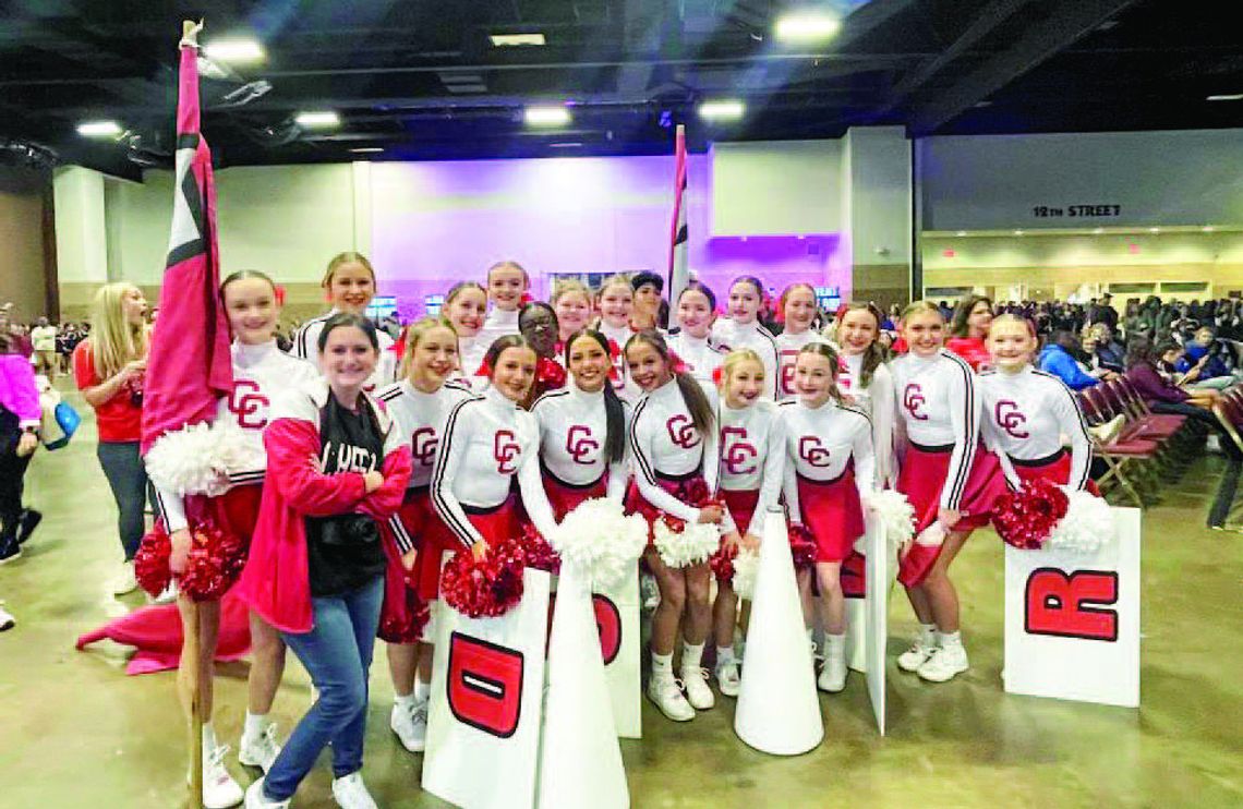 Columbus cheerleaders take top-15 placement at State