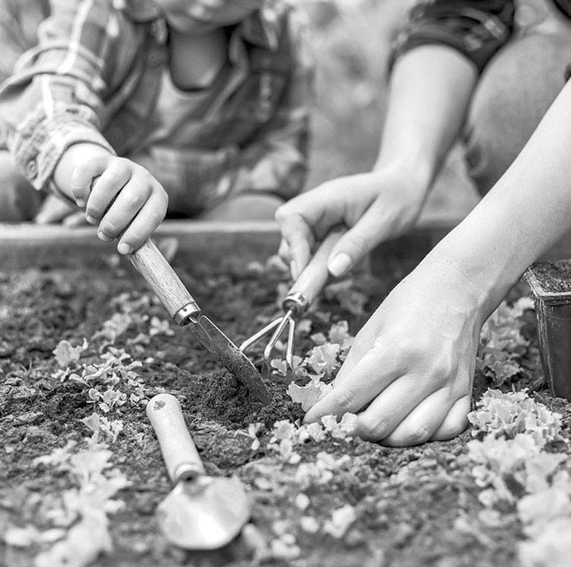 Columbus Tractor Supply helps young people