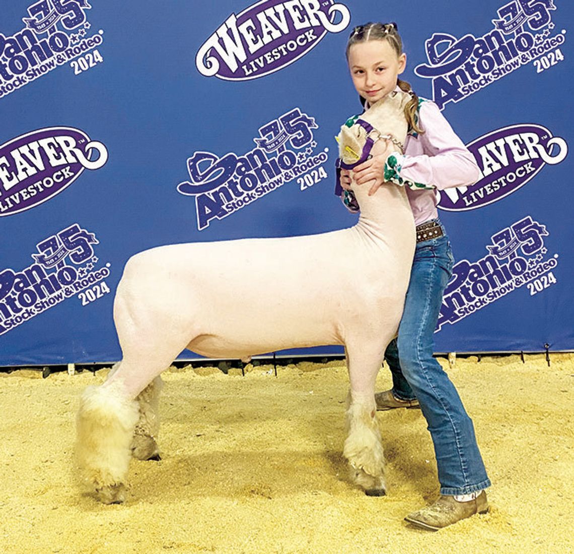 COUNTY 4-HERS TAKE ON SAN ANTONIO RODEO MARKET LAMB SHOW