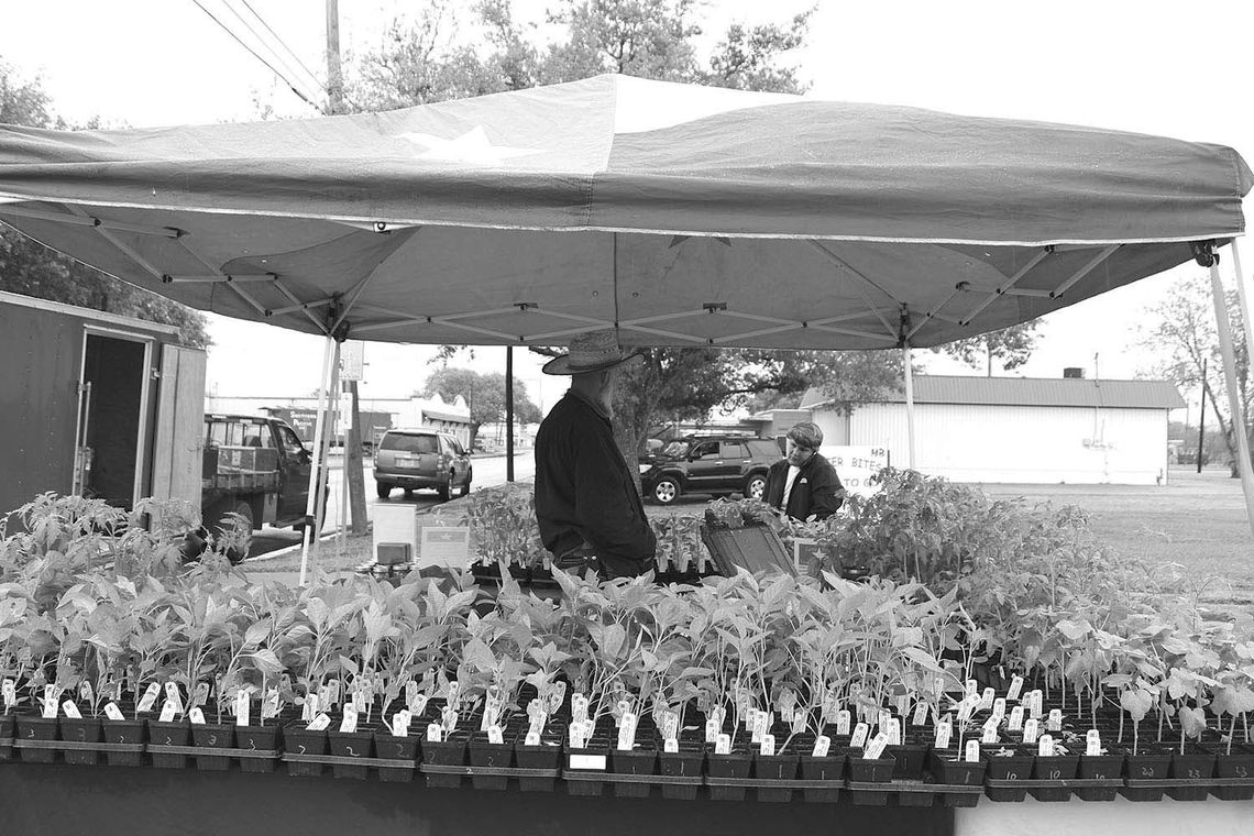 Eagle Lake Farmers and Community Market