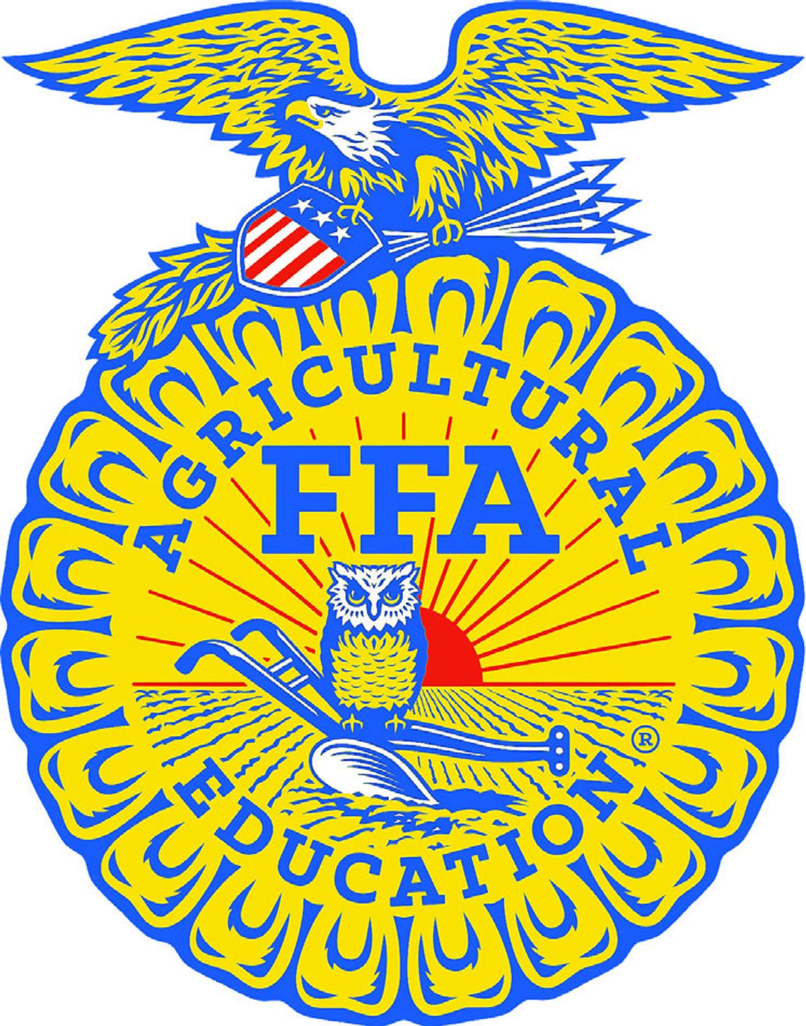 FFA Vision FFA Vision