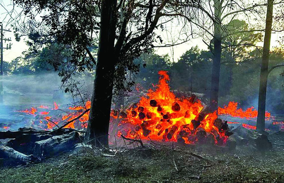 Frelsburg VFD has busy week with brush fires