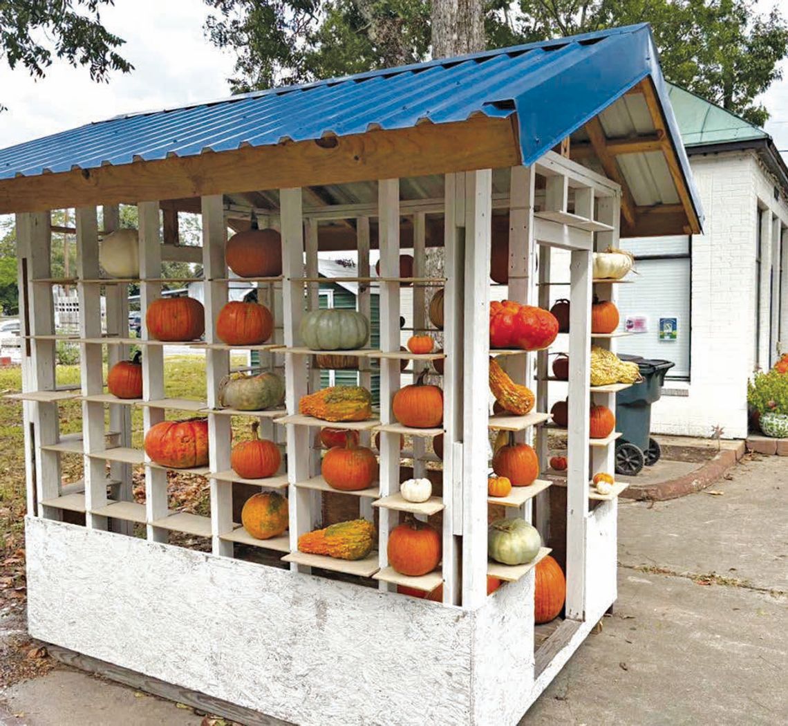 Habitat for Humanity brings back pumpkin pop up Habitat for Humanity brings back pumpkin pop up