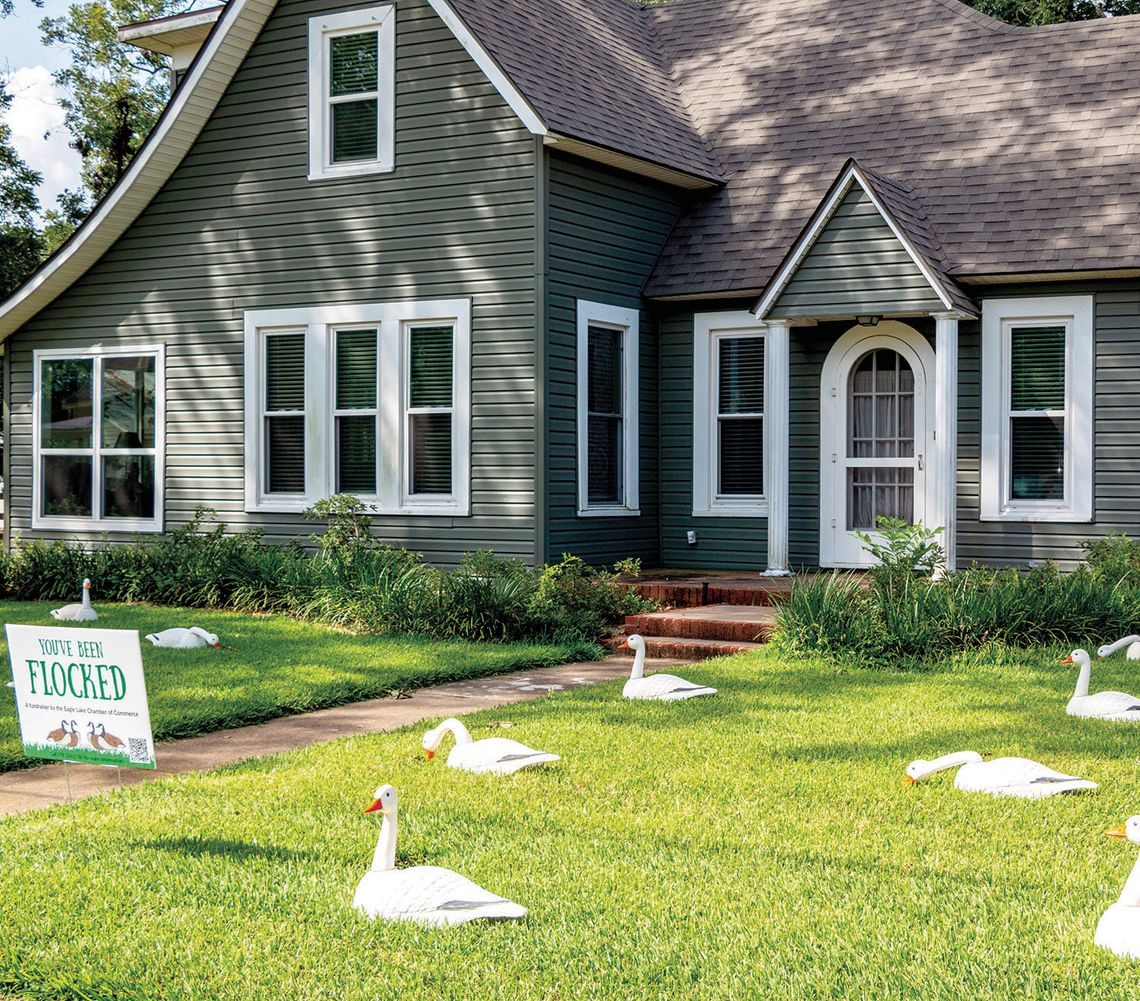 Houses flocked with two dozen decoy geese for Eagle Lake fundraiser