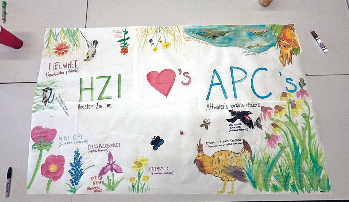 HOUSTON ZOO HELPS OUT ATTWATER WILDLIFE REFUGE