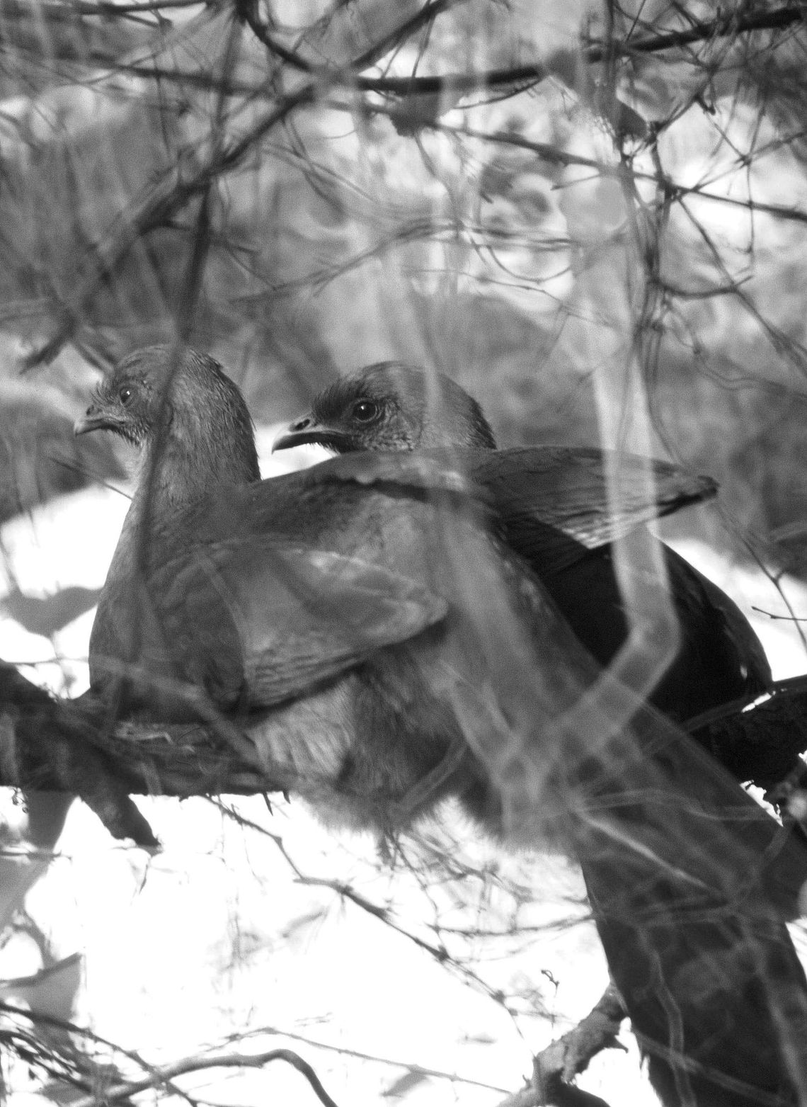 Hunting regulations are changing