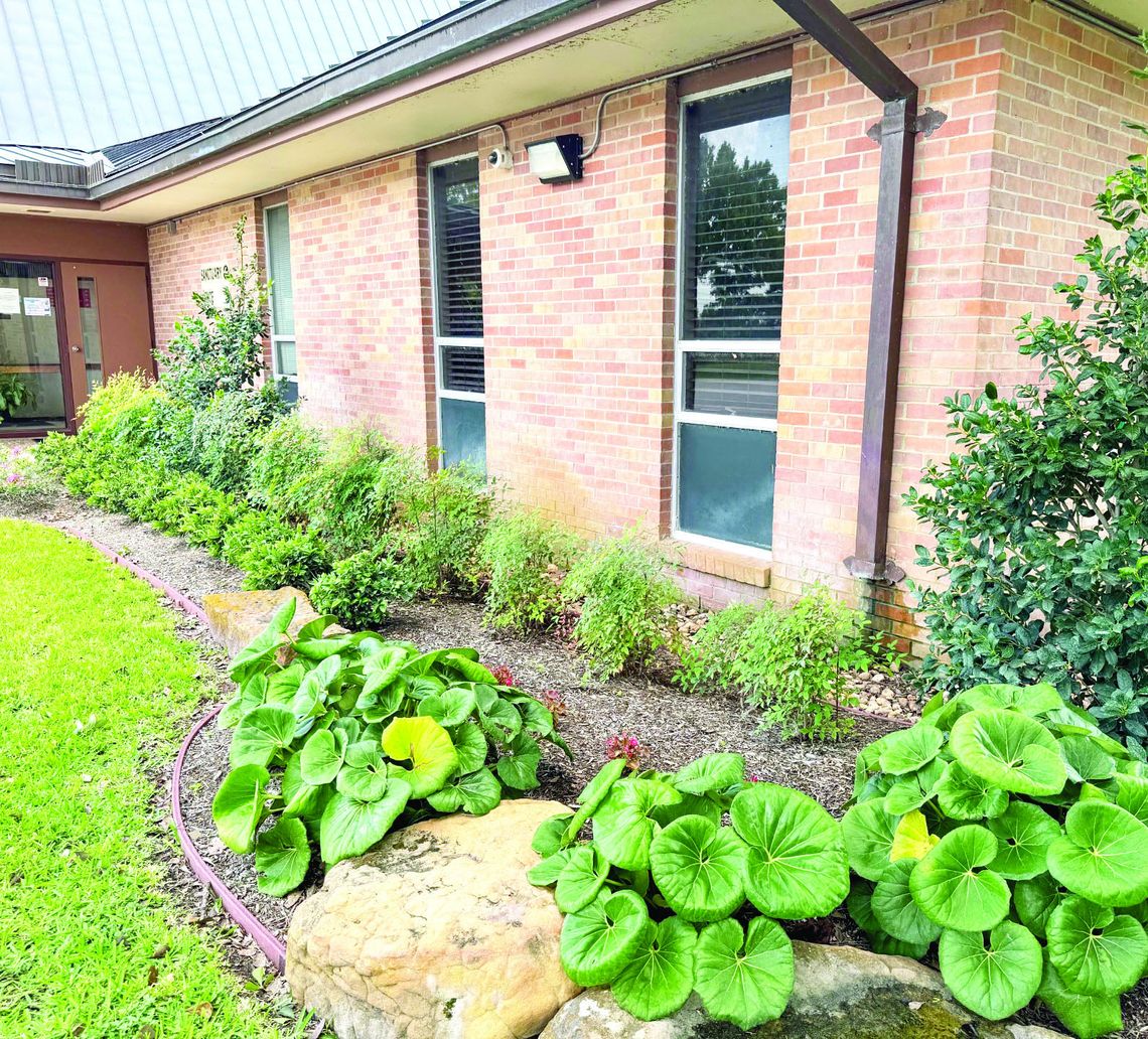 JULY COMMUNITY BEAUTIFICATION
