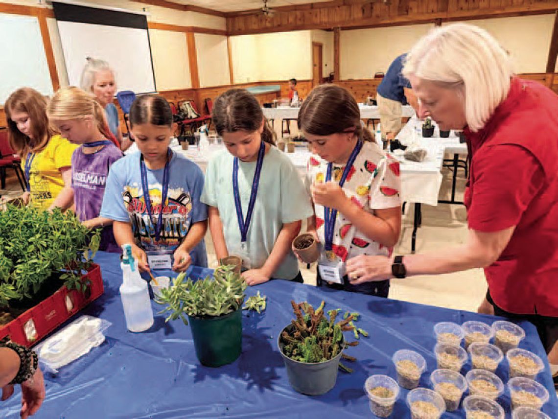 Kids Kamp makes science fun Kids Kamp makes science fun