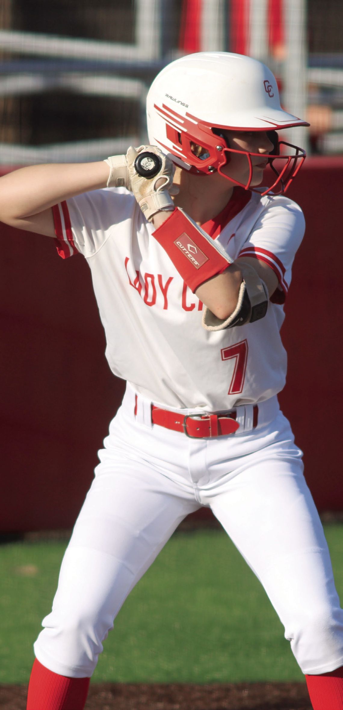 Lady Cards are All-District in the Classroom