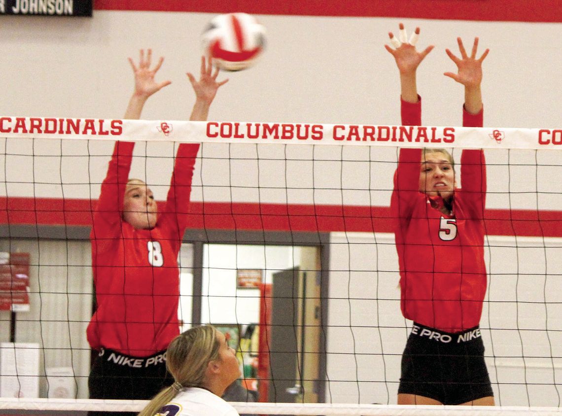 Lady Cards are still perfect in district play