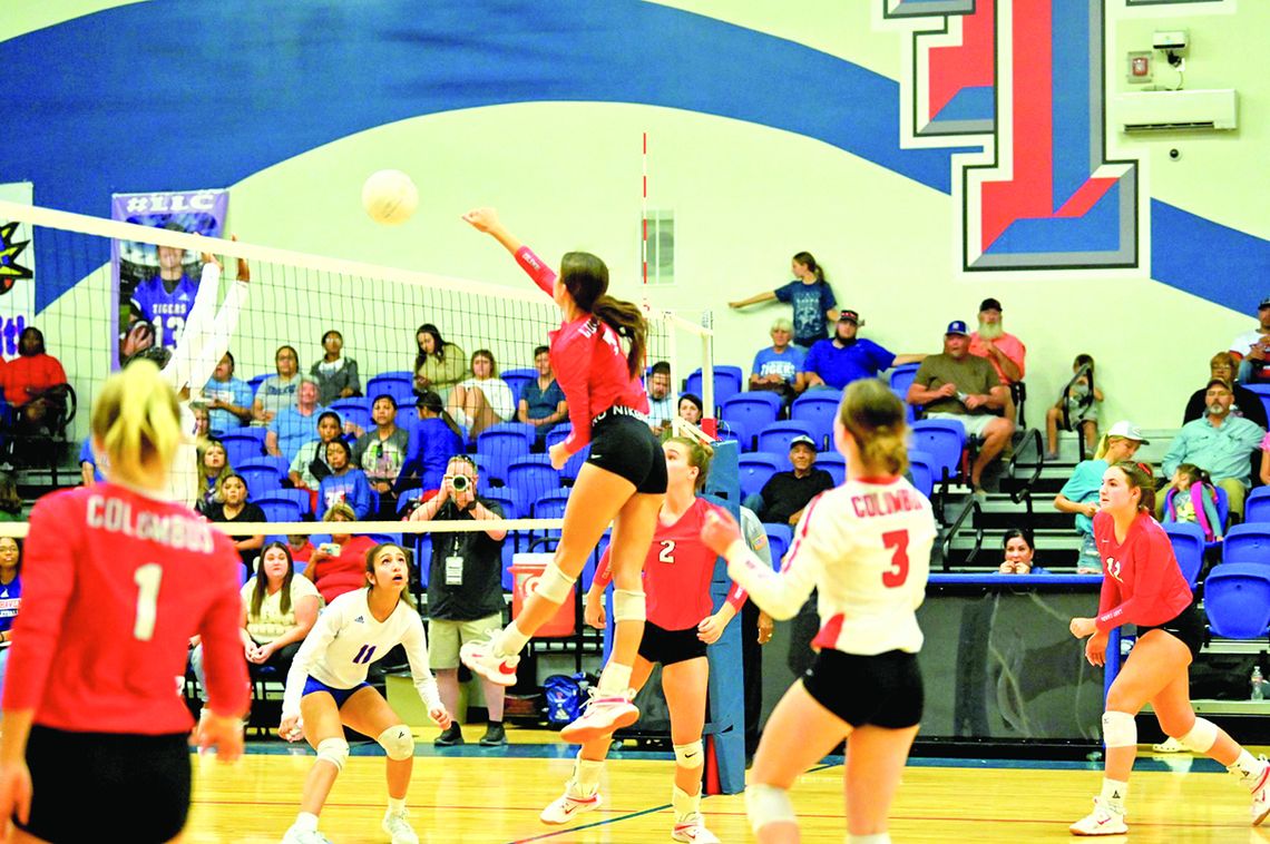 Ariana Palacios prepares to serve during a home game this season. Citizen | Trenton Whiting