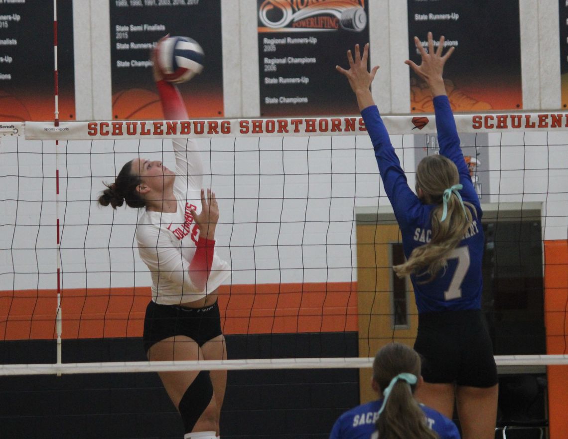 Lady Cards dominate Sacred Heart