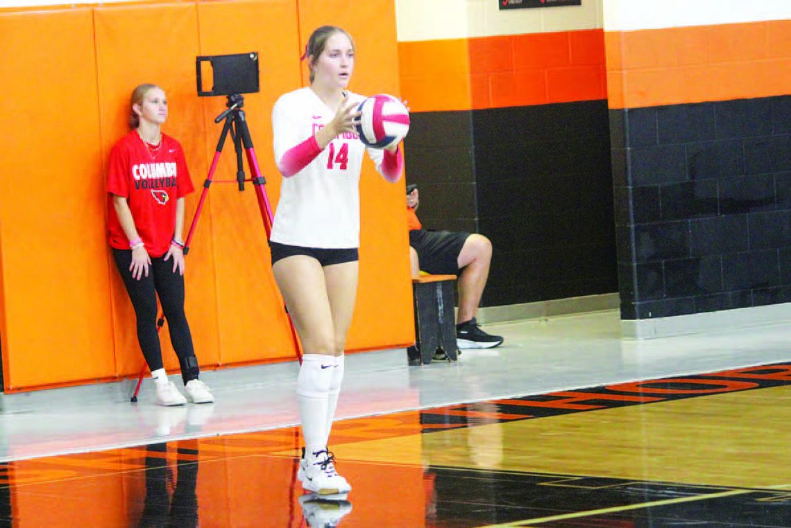 Lady Cards eliminated by London