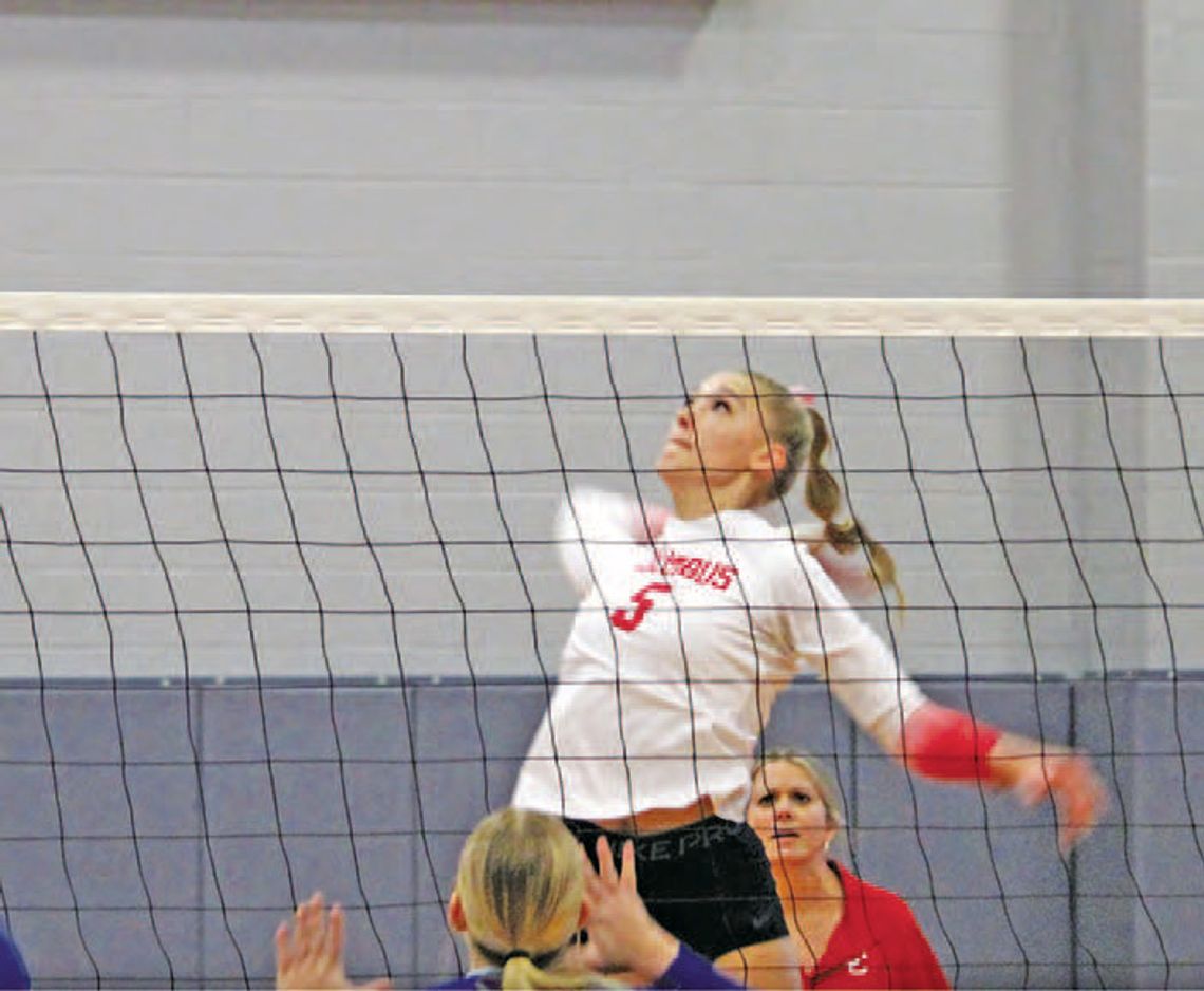 Lady Cards receive All-District Honors Lady Cards receive All-District Honors