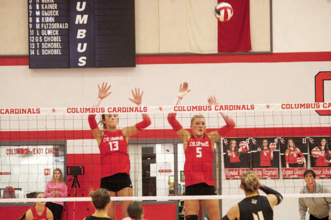 Lady Cards soar to regional semi-finals