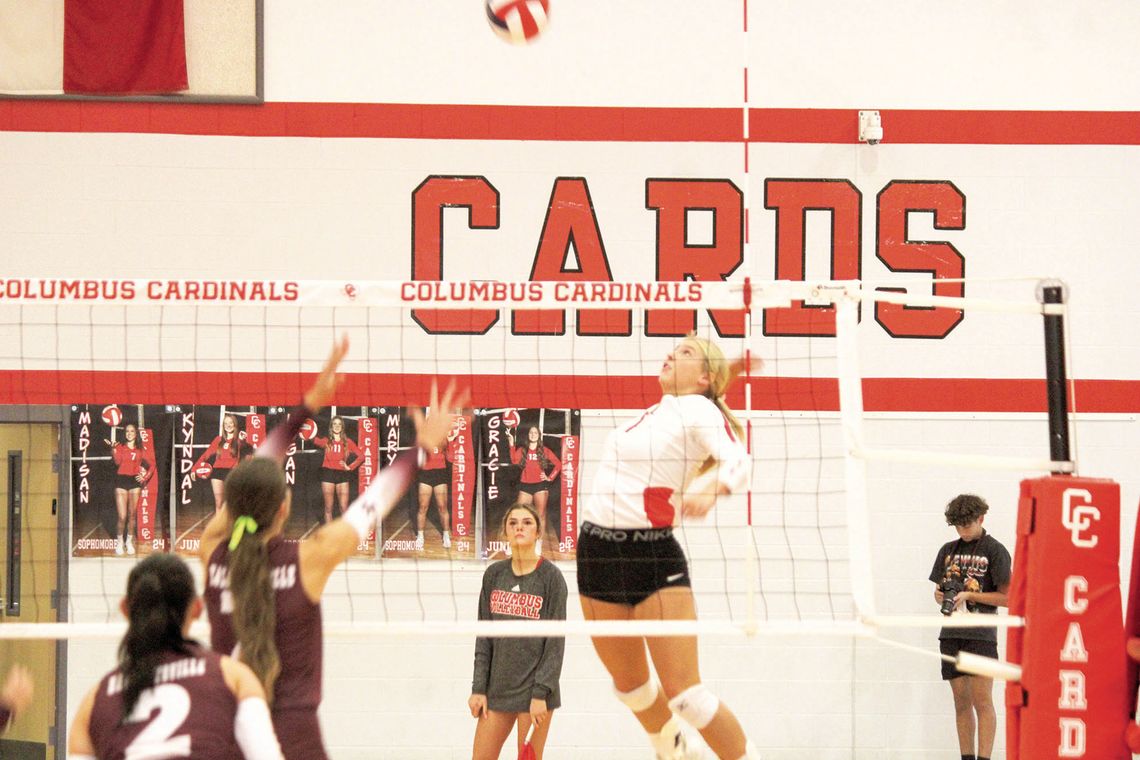 Lady Cards soaring in district schedule