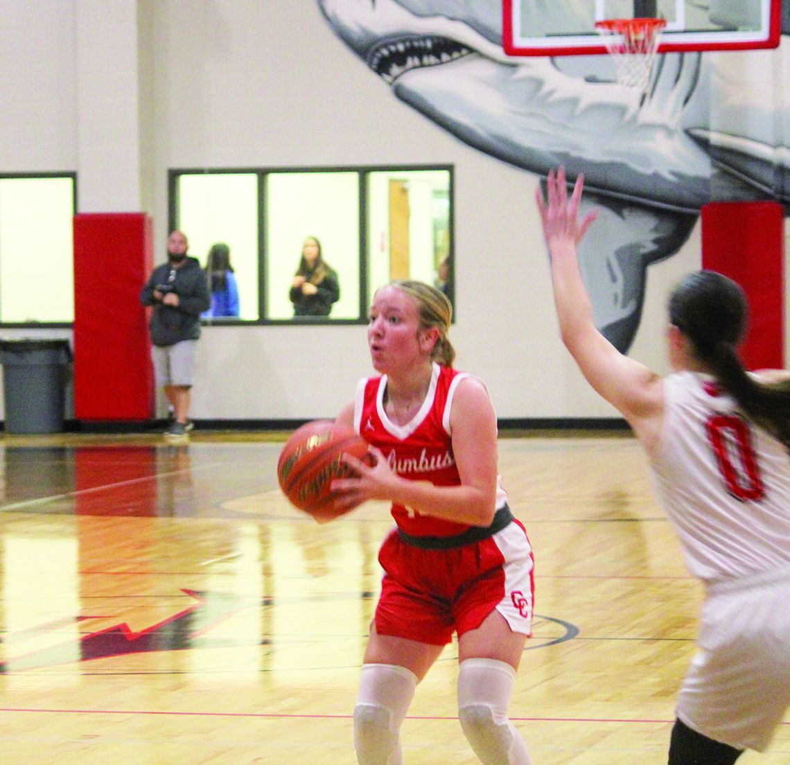 Lady Cards stump Sharkettes