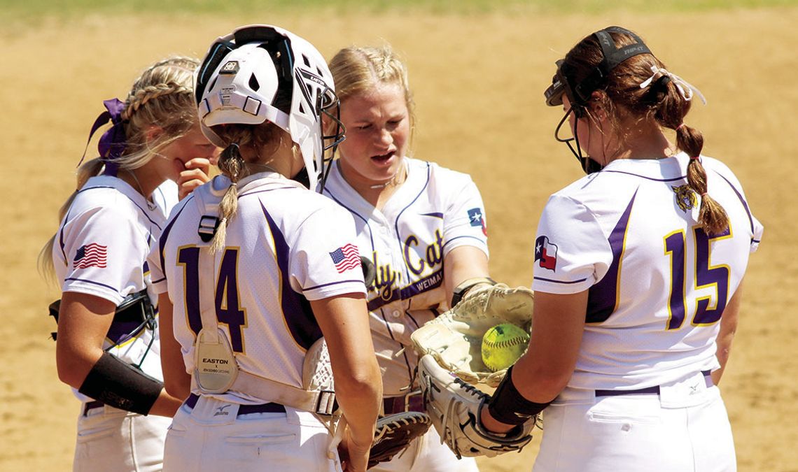 Ladycat softball climbs up to second in district standings