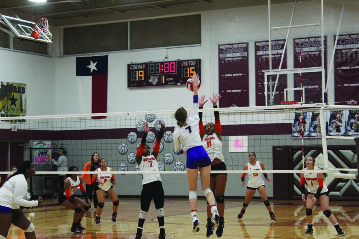 Ladycats are Bi-District champs