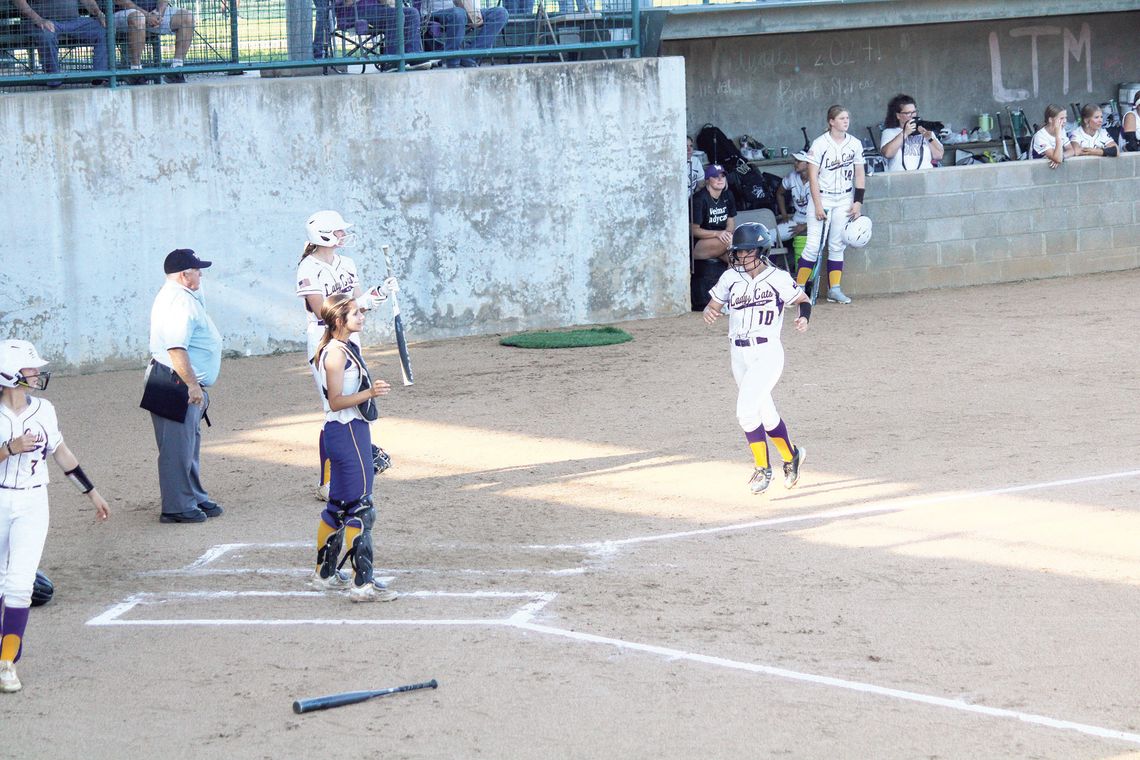 Ladycats back to defend their title