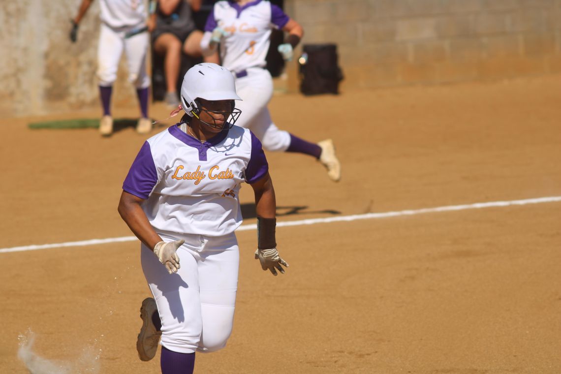 Ladycats blowout Lady Horns