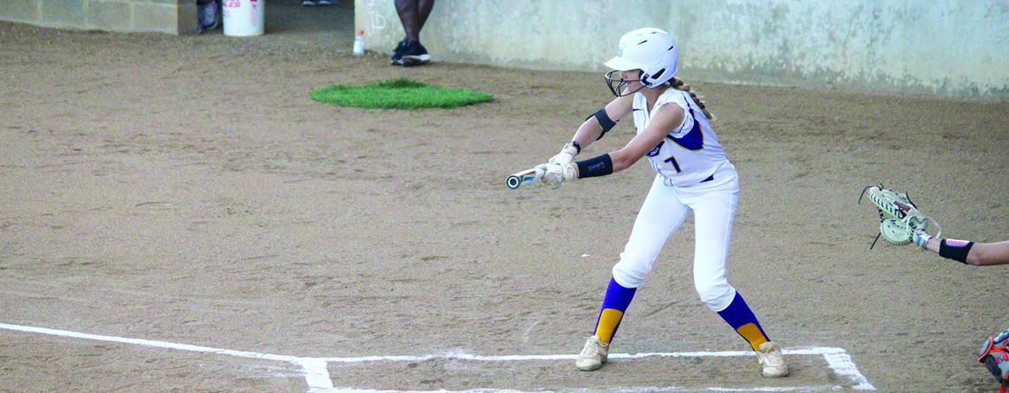 Ladycats come up short but bounce back