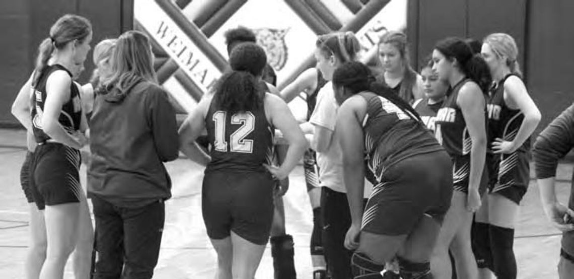 Ladycats defeat the Lady Eagles Ladycats defeat the Lady Eagles