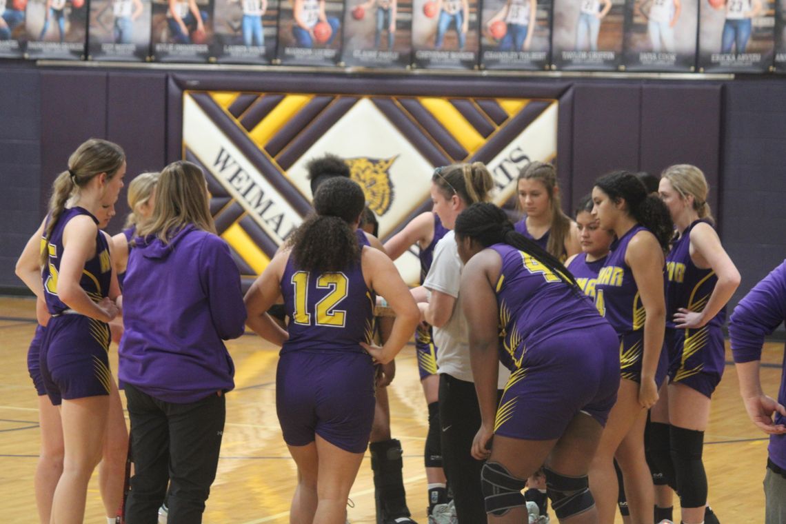 Ladycats defeat the Lady Eagles