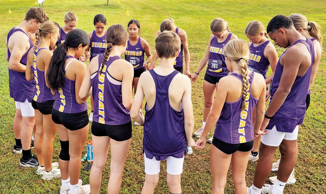 Ladycats earn fourth place at Van Vleck meet